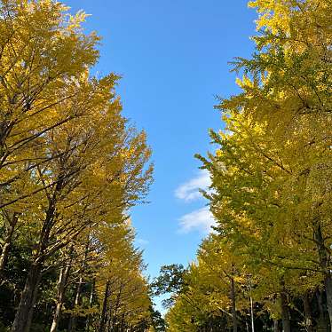 所沢航空記念公園のundefinedに実際訪問訪問したユーザーunknownさんが新しく投稿した新着口コミの写真