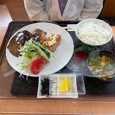 実際訪問したユーザーが直接撮影して投稿した西賀茂大栗町洋食舟形の写真