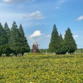 実際訪問したユーザーが直接撮影して投稿した布施公園あけぼの山農業公園の写真