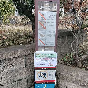 実際訪問したユーザーが直接撮影して投稿した北沢公園えごのき広場の写真