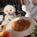 パスタ - 実際訪問したユーザーが直接撮影して投稿した立石カフェカフェ ガーデンの写真のメニュー情報