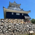 実際訪問したユーザーが直接撮影して投稿した元城町公園浜松城天守閣の写真