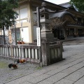 実際訪問したユーザーが直接撮影して投稿した谷保神社谷保天満宮の写真