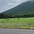 実際訪問したユーザーが直接撮影して投稿した大山山 / 峠大山の写真