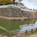 実際訪問したユーザーが直接撮影して投稿した岸城町城 / 城跡岸和田城 内堀の写真