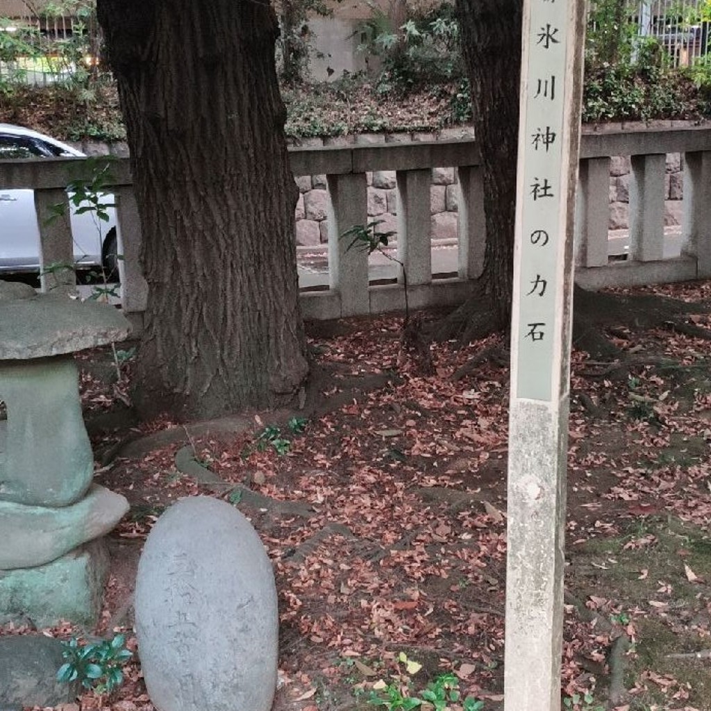 実際訪問したユーザーが直接撮影して投稿した赤坂歴史 / 遺跡氷川神社の力石の写真