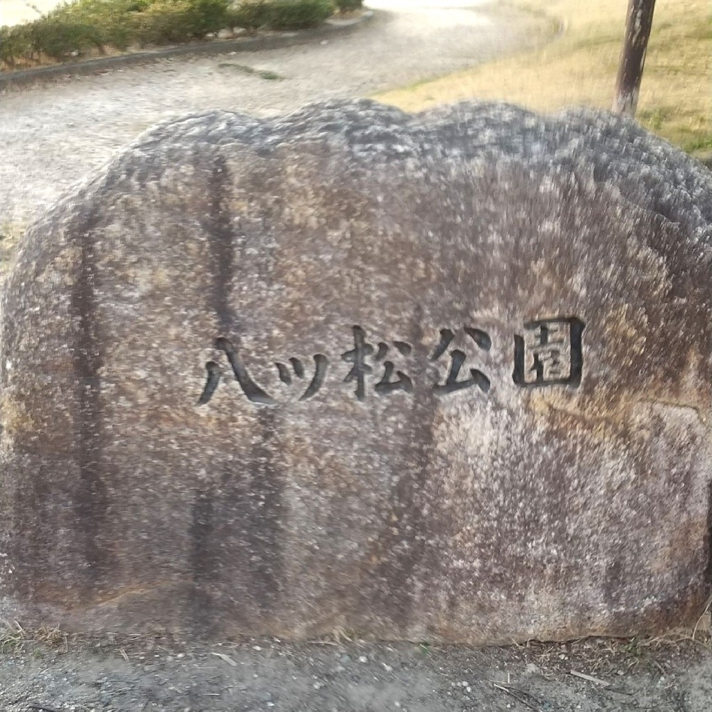 実際訪問したユーザーが直接撮影して投稿した大清水公園八ツ松公園の写真