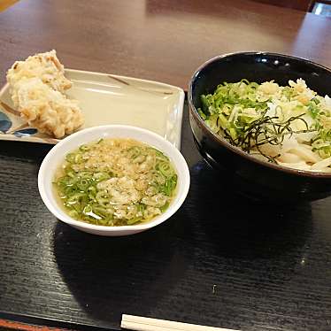 実際訪問したユーザーが直接撮影して投稿した上地うどん讃岐製麺 岡崎上地の写真