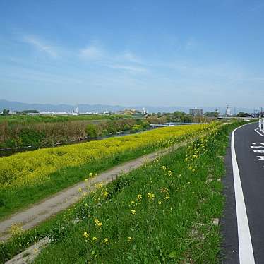 実際訪問したユーザーが直接撮影して投稿した八幡北浦自転車道京都八幡木津自転車道線の写真