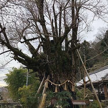 実際訪問したユーザーが直接撮影して投稿した森脇神社葛城一言主神社の写真