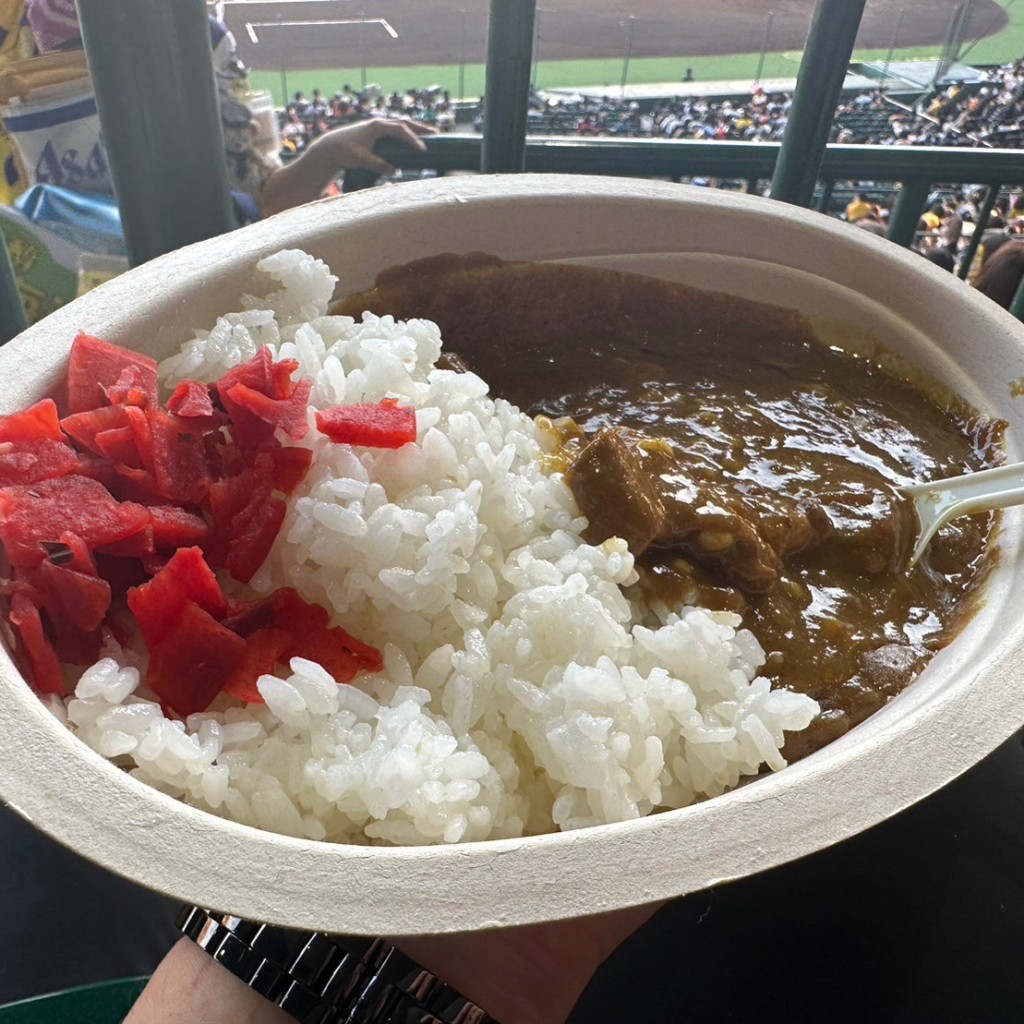 ユーザーが投稿した甲子園ホルモンカレーの写真 - 実際訪問したユーザーが直接撮影して投稿した甲子園町焼きそば甲子園焼きそばの写真