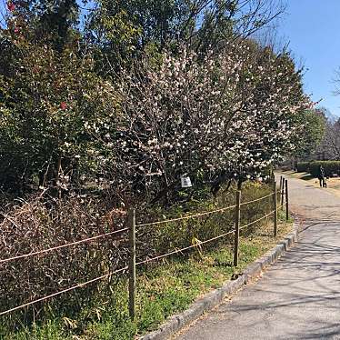 YUKさんが投稿した追分公園のお店ロクハ公園/ロクハコウエンの写真