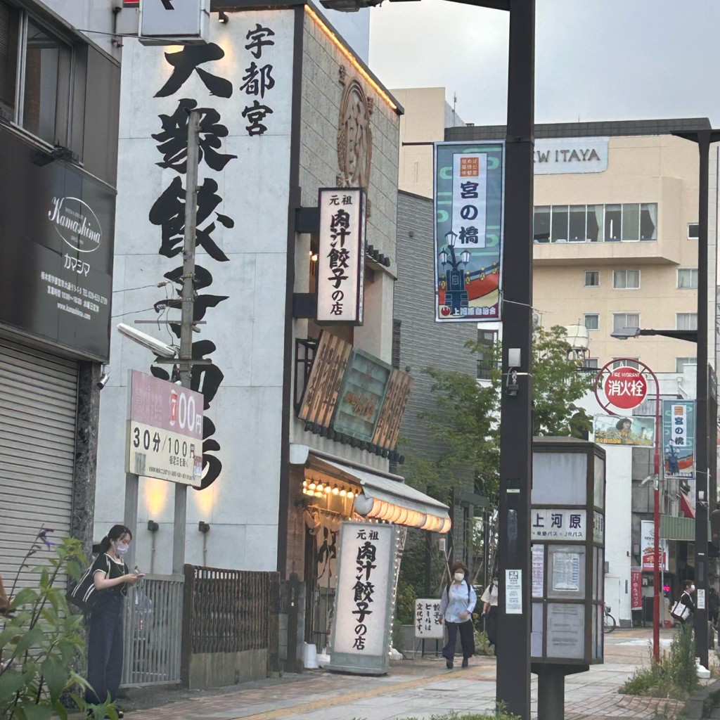 実際訪問したユーザーが直接撮影して投稿した大通り餃子肉汁餃子のダンダダン 宇都宮西口店の写真