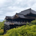 実際訪問したユーザーが直接撮影して投稿した清水1丁目寺清水寺の写真