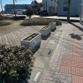 実際訪問したユーザーが直接撮影して投稿した中央公園けやき通りポケットパークの写真