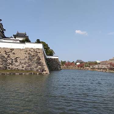 新免無二さんが投稿した岸城町城 / 城跡のお店岸和田城/キシワダジョウの写真