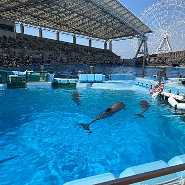 名古屋港水族館のundefinedに実際訪問訪問したユーザーunknownさんが新しく投稿した新着口コミの写真