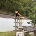 実際訪問したユーザーが直接撮影して投稿した桜町動物園鯖江市 西山動物園の写真