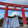 実際訪問したユーザーが直接撮影して投稿した榎列下幡多神社おのころ島神社の写真