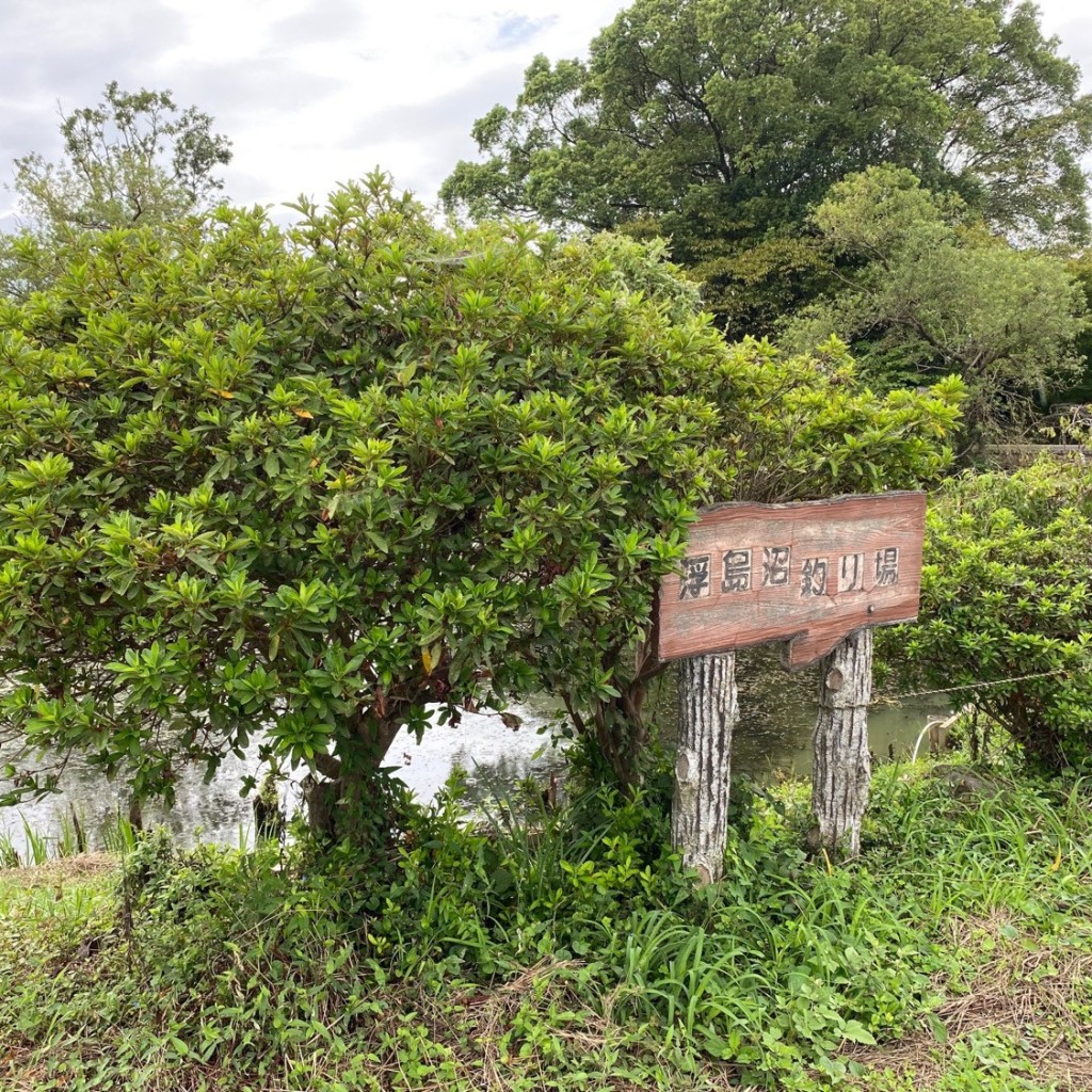 実際訪問したユーザーが直接撮影して投稿した中里公園浮島沼釣り場公園の写真