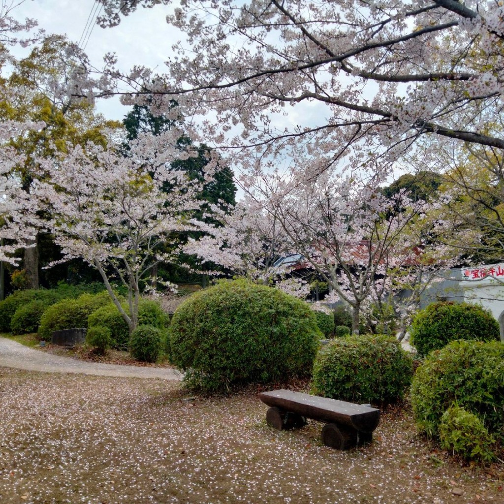 実際訪問したユーザーが直接撮影して投稿した八屋公園宝福寺山つつじ公園の写真