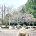 実際訪問したユーザーが直接撮影して投稿した染井野公園七井戸公園の写真