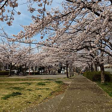 ひたち野さくら公園のundefinedに実際訪問訪問したユーザーunknownさんが新しく投稿した新着口コミの写真