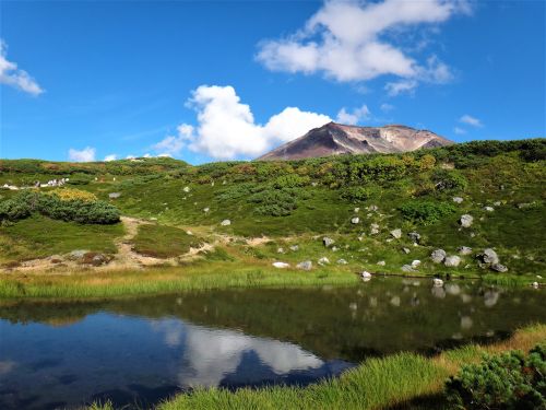 実際訪問したユーザーが直接撮影して投稿した山 / 峠旭岳の写真