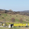 実際訪問したユーザーが直接撮影して投稿した楠本植物園 / 樹木園兵庫県立公園 あわじ花さじきの写真