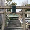 実際訪問したユーザーが直接撮影して投稿した長府宮の内町神社忌宮神社の写真