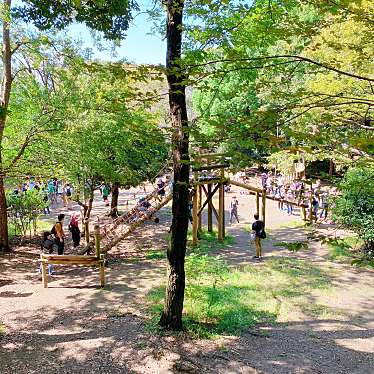 実際訪問したユーザーが直接撮影して投稿した平和の森公園公園平和の森公園の写真