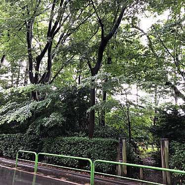 実際訪問したユーザーが直接撮影して投稿した石神井台公園ふるさと憩いの森の写真