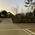 実際訪問したユーザーが直接撮影して投稿した名城植物園 / 樹木園名城公園フラワープラザの写真