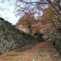 実際訪問したユーザーが直接撮影して投稿した百済寺町寺百済寺の写真