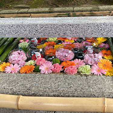 セリオン坊やさんが投稿した稲荷町神社のお店竹駒神社/タケコマジンジャの写真