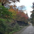 実際訪問したユーザーが直接撮影して投稿した大山山 / 峠大山の写真