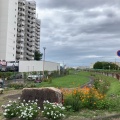 実際訪問したユーザーが直接撮影して投稿した鳴海町公園藤川緑地の写真