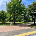 実際訪問したユーザーが直接撮影して投稿した谷中公園しょうぶ沼公園の写真