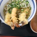 海老天うどん - 実際訪問したユーザーが直接撮影して投稿した(番地が直接)そば虎屋の写真のメニュー情報