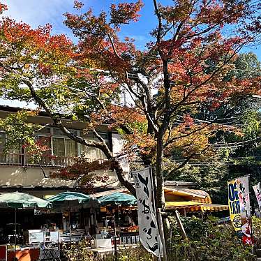 実際訪問したユーザーが直接撮影して投稿した平井町定食屋あづま家の写真