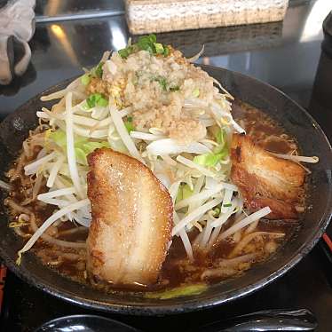 実際訪問したユーザーが直接撮影して投稿した川原町ラーメン / つけ麺豪ーめんの写真