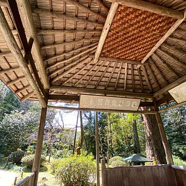 いちえもんさんが投稿した岡崎西天王町神社のお店平安神宮/ヘイアン ジングウの写真