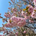 実際訪問したユーザーが直接撮影して投稿した手宮公園手宮公園の写真