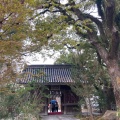 実際訪問したユーザーが直接撮影して投稿した今川神社むすびの神 鳥飼八幡宮の写真