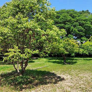 実際訪問したユーザーが直接撮影して投稿した寺部町城 / 城跡寺部城の写真