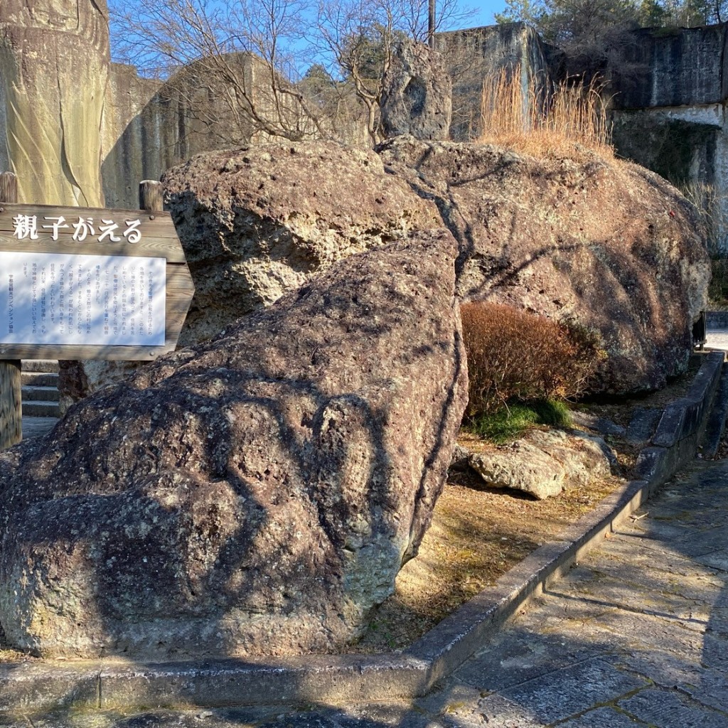 実際訪問したユーザーが直接撮影して投稿した大谷町岩親子がえるの写真