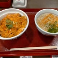 親子丼 - 実際訪問したユーザーが直接撮影して投稿した高輪丼ものなか卯 泉岳寺前店の写真のメニュー情報