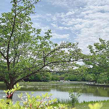 実際訪問したユーザーが直接撮影して投稿した千駄堀公園21世紀の森と広場の写真