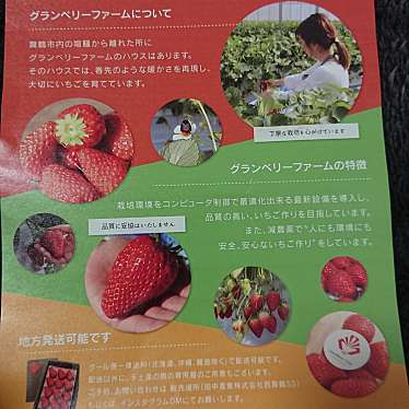 実際訪問したユーザーが直接撮影して投稿した志高いちご狩りGrandBerry Farmの写真