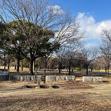 実際訪問したユーザーが直接撮影して投稿した緑地公園公園健康遊具の写真